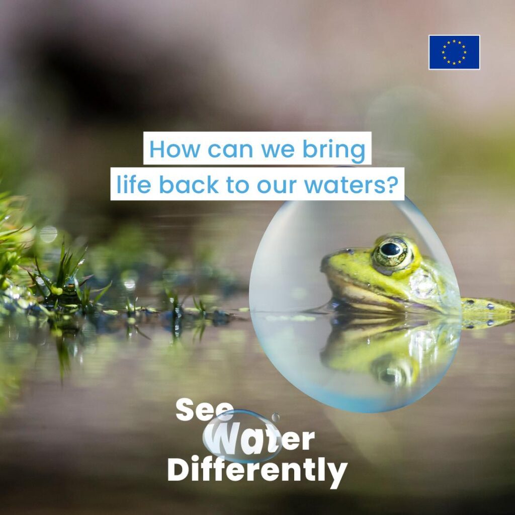 Imagem com fundo desfocado de um lago, onde se vê parcialmente uma rã com a cabeça fora de água. Sobreposta à imagem, há uma gota translúcida com a rã ampliada no interior. O texto diz: "How can we bring life back to our waters?" e "See Water Differently". No canto superior direito está a bandeira da União Europeia.