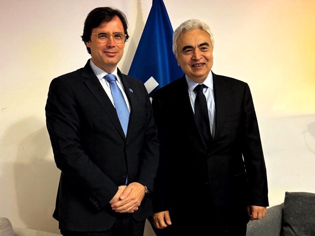 Nelson Lage, Presidente da ADENE, intervém na conferência de alto nível da International Energy Agency